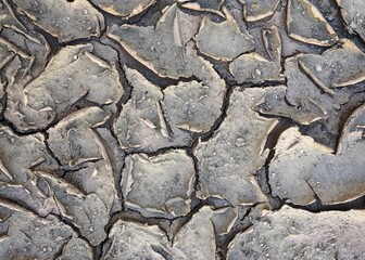 Dry cracked soil texture background. Arid soil. Deep cracks. Dry soil. Environmental protection.  World Day Against Desertification and Drought  Ecology and conservation of nature.