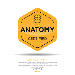 Creative (Anatomy) Certified badge, vector illustration.