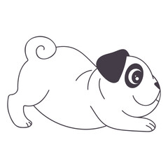 Dog ready to play icon