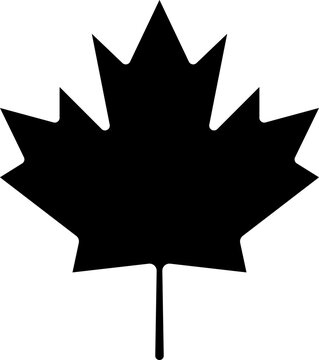 Autumn leaf icon vector. canadian symbol