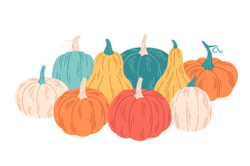 Pumpkins of different colors and shapes. Hello autumn, autumn harvest. Hand drawn vector illustration