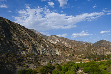 Angeles National Forest