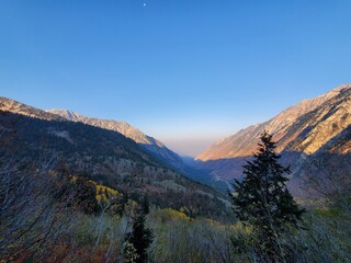 View from the start of Red Pine Lake Trail, Wasatch National Forest in Utah