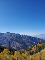Fototapeta premium Autumn views from Mill B North trail, Wasatch National Forest in Utah