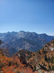 Fototapeta na wymiar Autumn views from Mill B North trail, Wasatch National Forest in Utah