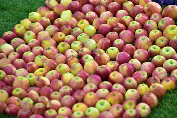 Sample with apples