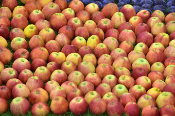 Sample with apples