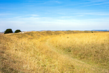 View of the Neolithic site of Figsbury ring on a sunny summer afternoon, Wiltshire, South West England