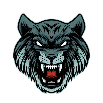 wolf head vector illustration with angry face showing canines