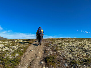 People inside Dovre National Park, Norway, Scandinavia, Europe	