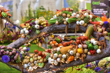 Fototapeta na wymiar Decoration with different types of vegetables