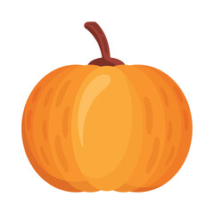 autumn fresh pumpkin