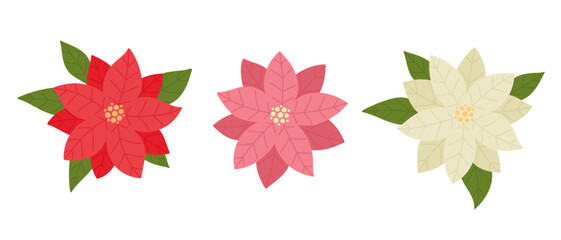 Poinsettia flowers set. Collection of traditional hand drawn Christmas plants.