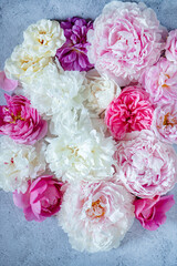 fresh peonies in the metal background