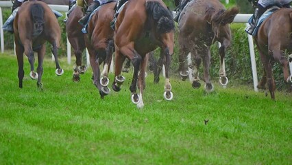 Horse racing, hooves scatter grass during the race. Recorded in slow motion.