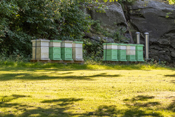 White and green bee hives by a small field.