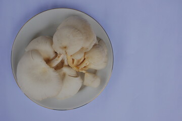 white mushrooms on a white plate isolated on a white background