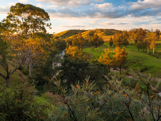 River Valley Afternoon