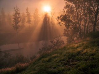 Sunrise Through Mist Along River