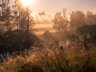 Fototapeta premium Sunrise Through Mist Along River