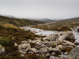 Snowy River Valley Misty Morning