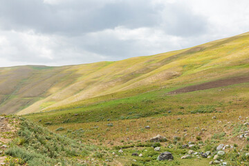 Fototapeta na wymiar Rabot, Gorno-Badakhshan Autonomous Province, Tajikistan. Pastures in the mountains of Tajikistan.