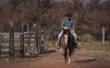 Veteran Cowboy Riding Horse in Colorado 