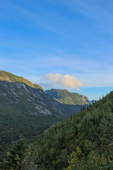 Naklejka premium Vision at the top