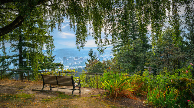 Portland cityscape with a rustic wooden bench under the willow tree in the garden.Autumn landscape at Pittock Mansion Park in Portland, Oregon State. - Powered by Adobe