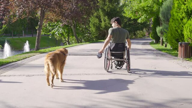Young man in a wheelchair walking his dog.
Young man sitting in wheelchair and loves dog.
