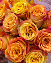 Orange And Yellow Roses