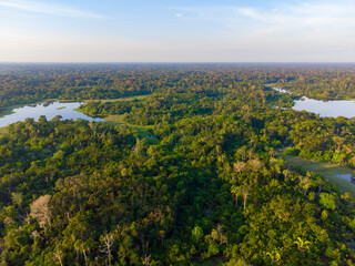 Fototapeta na wymiar Aerial view of Igapó, the Amazon rainforest in Brazil, an incredible green landscape with lots of water and untouched nature at sunset time