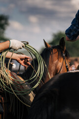 ranching