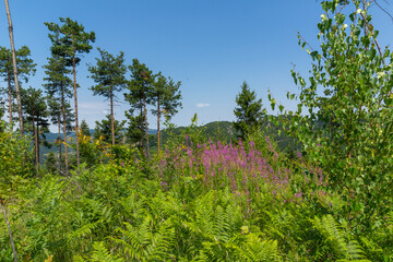 Ancient sanctuary Belintash at Rhodope Mountains, Bulgaria