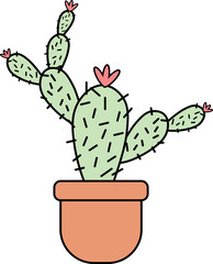 succulent illustration