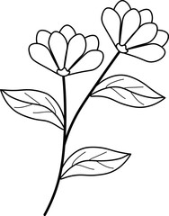 flower illustration