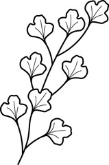 leaf illustration