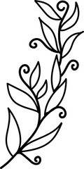 leaf illustration