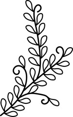 leaf illustration