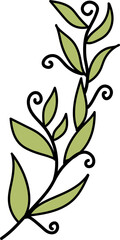 leaf illustration