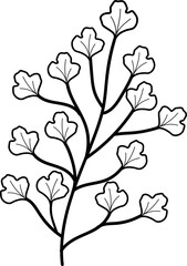 leaf illustration
