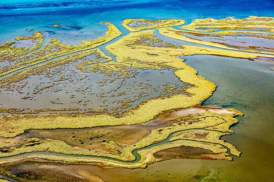 Wetland On The Aegean Coast, Turkey.