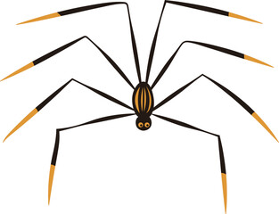 Halloween Spider Graphic Illustration 