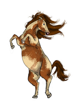 lineart horses