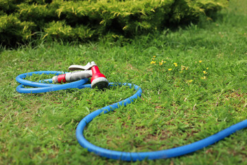 Watering hose with sprinkler on green grass outdoors