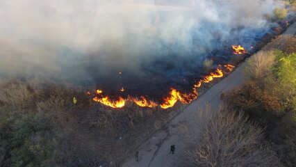Fototapeta premium INCENDIO FORESTAL