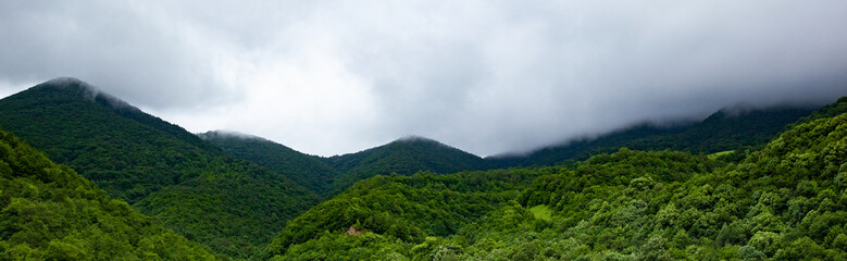 Fototapeta na wymiar Forest in hilly area
