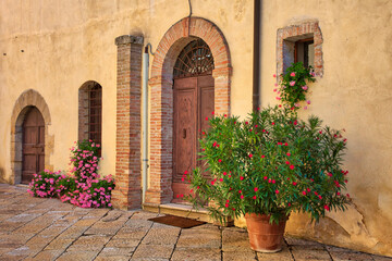 Italy, Tuscany, Montepulciano. Colorful flowers in pots along the streets of the hill town of Montepulciano.