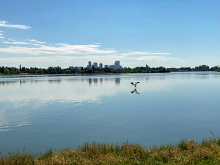 Pelican Water Landing