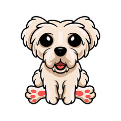 Cute maltese puppy dog cartoon